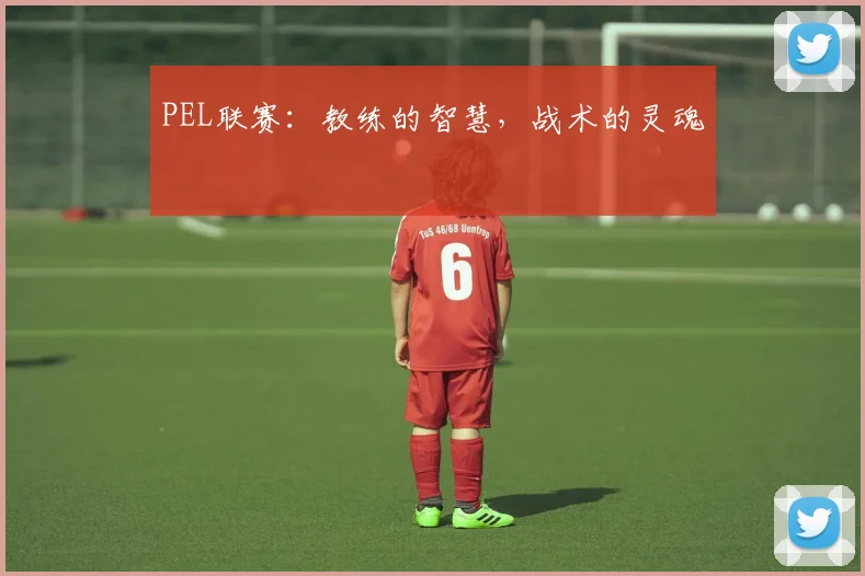 PEL联赛：教练的智慧，战术的灵魂