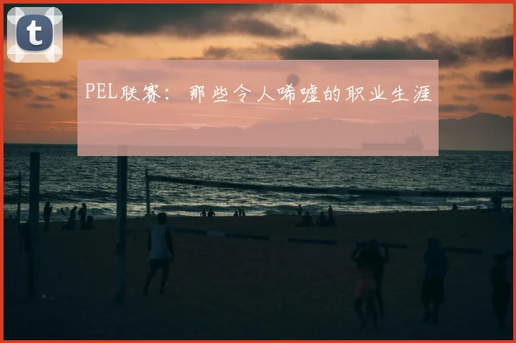 PEL联赛：那些令人唏嘘的职业生涯