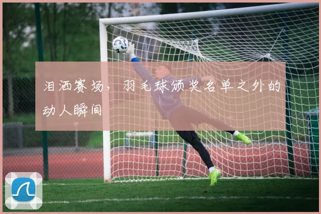 泪洒赛场，羽毛球颁奖名单之外的动人瞬间